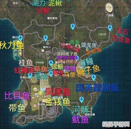 手游资讯，全面揭秘小森生活鱼王分布与垂钓攻略