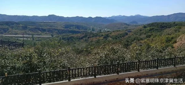 探秘江南百景图，春花店铺位置全攻略及游戏新动向