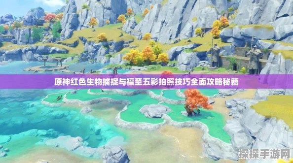 原神福至五彩活动，探寻红色生物摄影指南