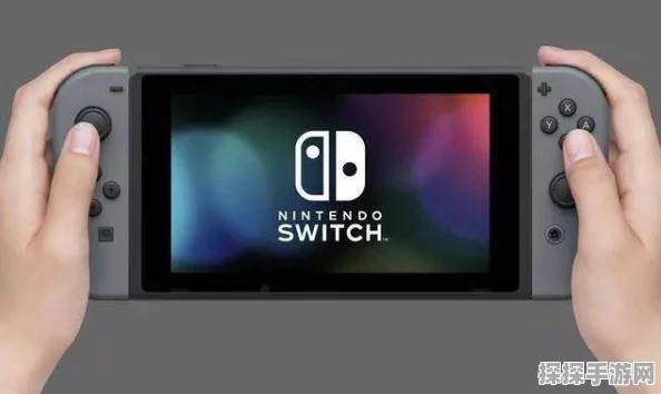 Switch 版畅玩指南，带你开启奇幻之旅
