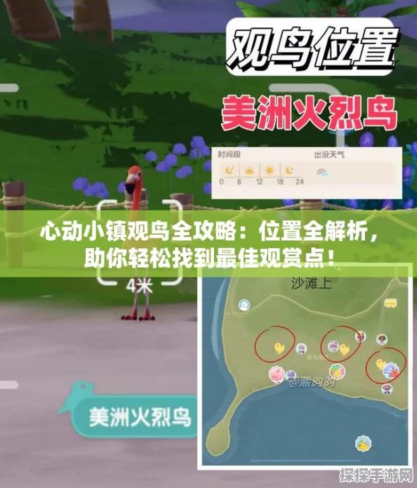 心动小镇五子雀观鸟全攻略，时间地点精确解读