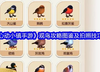 心动小镇五子雀观鸟全攻略，时间地点精确解读