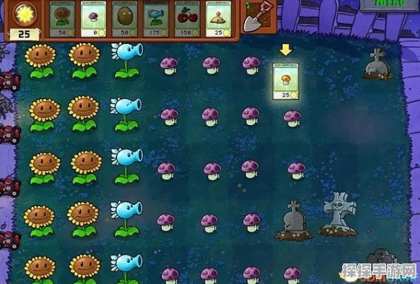植物大战僵尸 4-3 关卡通关秘籍大揭秘