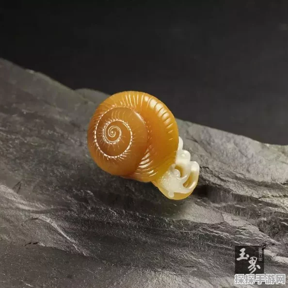 手游资讯，深入解析最强蜗牛形态装备更新