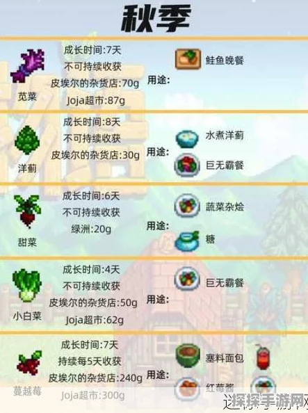 星露谷物语之春，农作物种植的绝佳秘籍