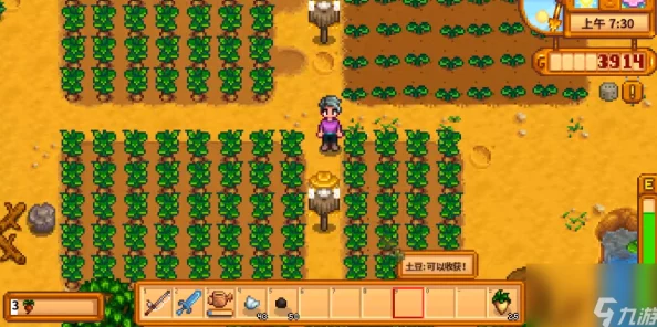 星露谷物语之春，农作物种植的绝佳秘籍