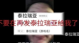 泰拉瑞亚手游资讯，揭秘天国魔力ID及其游戏魅力