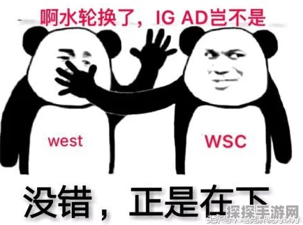 王者荣耀菜狗积分获取全攻略，解锁积分新途径，畅享游戏乐趣