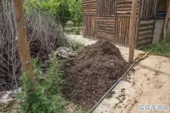 探索地下城割草，幸运值背后的神秘力量