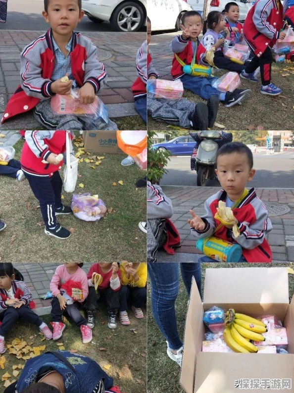 手游资讯，探索光·遇的奇妙季节之旅，已开启21个梦幻篇章