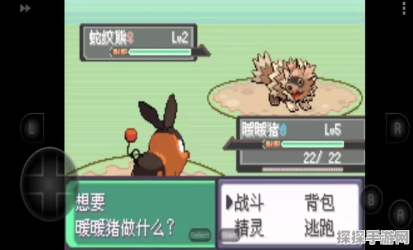 口袋妖怪恶魔插曲火红版重大版本更新资讯