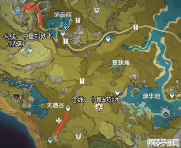 原神柽木采集攻略，快速采集路线全解析