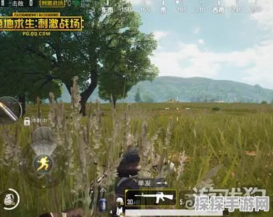 绝地求生刺激战场，掌握吃鸡生存法则，迈向胜利之路