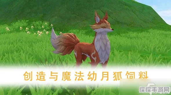 魔法之旅，仙灵萝卜饲料配方大揭秘
