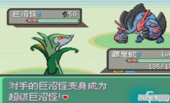 口袋怪兽绿宝石，神秘支线大揭秘