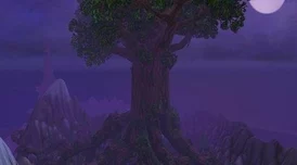 魔兽世界怀旧服，探秘灰谷 NPC 旅店老板基姆利雅