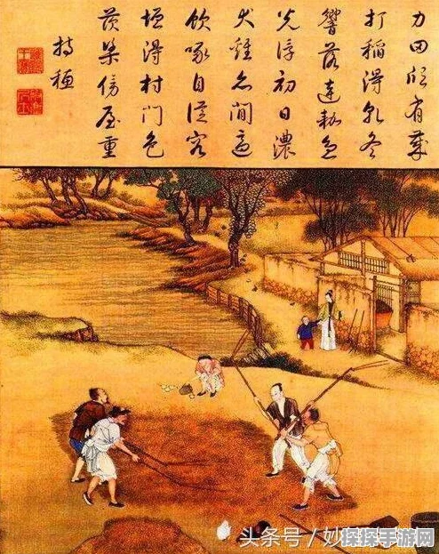 深度解析如鸢，揭开游戏类型的神秘面纱