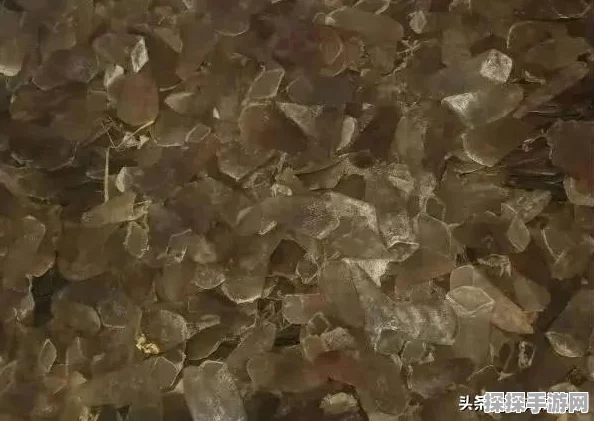 边境公约卸货区深度挑战之旅，致胜策略与精妙技巧大揭秘