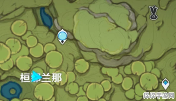 原神桓那兰那梦之树位置全揭秘！宝藏路线一手掌握