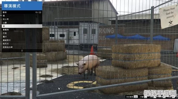 GTA5导演模式，解锁手游创意新境界的全方位指南