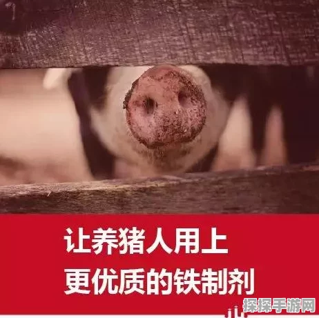 刺客信条，血缘手游加速跑技巧全解析，助你驰骋历史长河