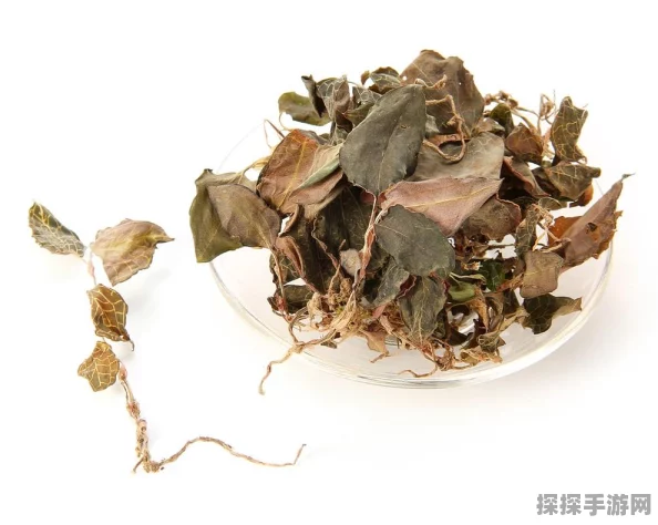 原神草系元素反应全览，探索战斗策略的无限可能