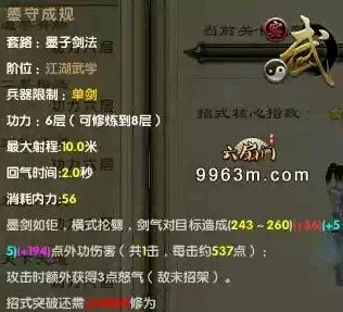 九阴真经 99 武学停出之谜，深度探究与分析
