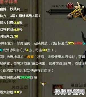 九阴真经 99 武学停出之谜，深度探究与分析