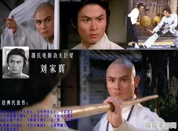 火影忍者手游，醉拳李实力全解析与实战技巧指南