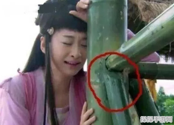 探寻天龙八部 2 手游，阿浅究竟藏身何处？