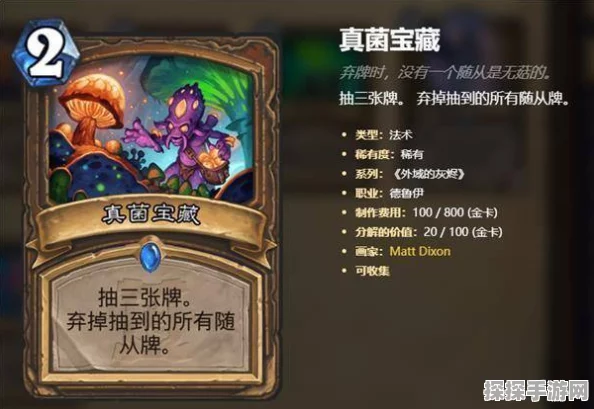 炉石传说巅峰对决，索马里冠军贼卡组全揭秘，国服百强玩家亲授实战秘籍