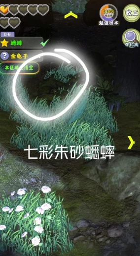 夺笋高手，探寻极光金珠无价之宝的神秘获取之径