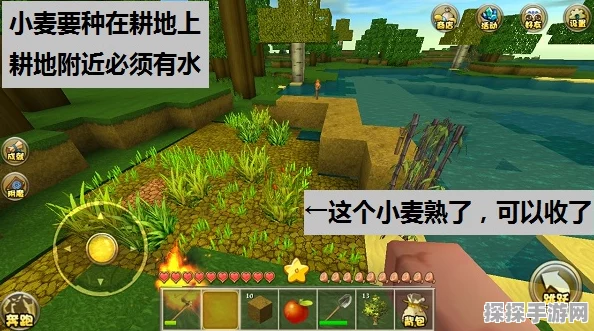 我的世界手游熔炉暗门制造秘籍，打造隐秘基地的终极技巧