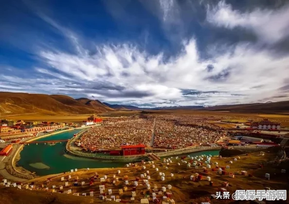 梦幻西游手游 2024 萌宝尘世游全攻略，畅玩秘籍大公开