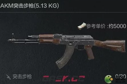暗区突围秘籍，AKM 共用弹夹之谜大揭秘