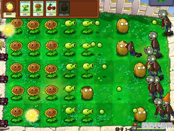 植物大战僵尸 3D 版，震撼新体验，惊喜等你发现