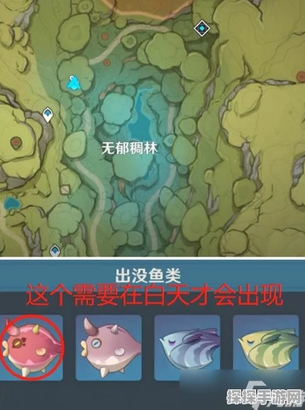 原神鱼叉材料钓鱼点全攻略