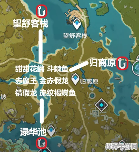 原神假龙垂钓指南，鱼饵选择与垂钓地点揭秘