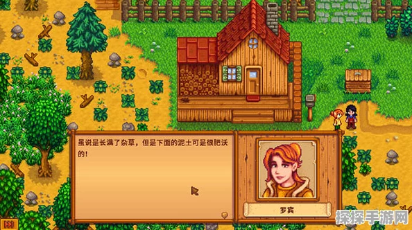 星露谷物语采矿职业大揭秘，多样选择等你来