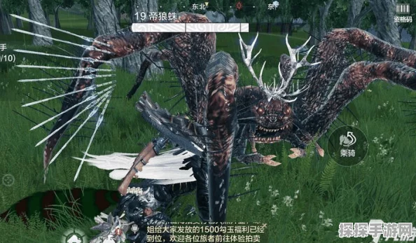 妄想山海手游深度探索，揭秘狼蛛隐秘栖息之地新版本资讯