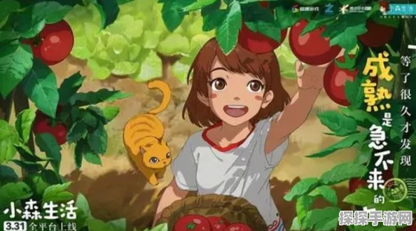 手游资讯指令，探寻小森生活中的止风草