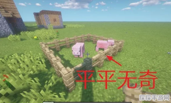 我的世界灰化土，解锁多元用途与价值的新篇章