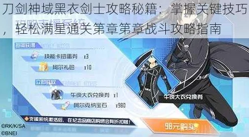 黑衣剑士装备选择技巧与装备试炼全攻略深度解析