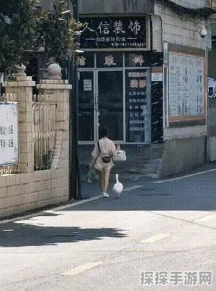 肥鹅健身房休息区华丽变身秘籍
