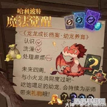 哈利波特魔法觉醒，龙流搭配策略深度解析与玩法指南