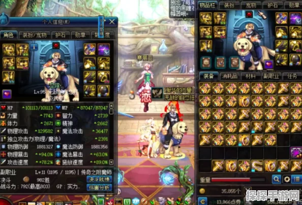 探秘 65SS 拳套与 60SS 拳套的神秘力量