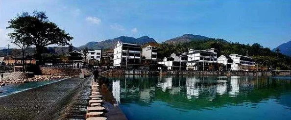 探秘，如何成功获取第五树种的终极指南