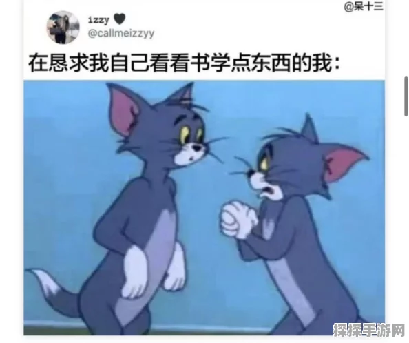 摩尔庄园 NPC 喜好大揭秘，私房菜成关键