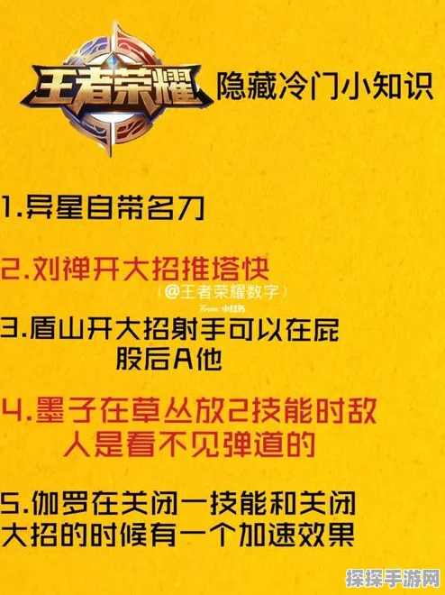 王者荣耀超冷门小技巧与知识大揭秘