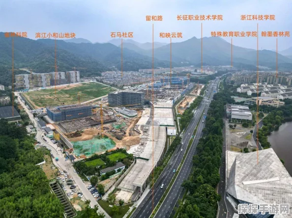 植物大战僵尸2天空之城第8天通关攻略深度解析